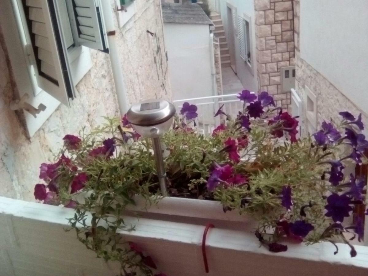 Apartment Nada Повляна Экстерьер фото